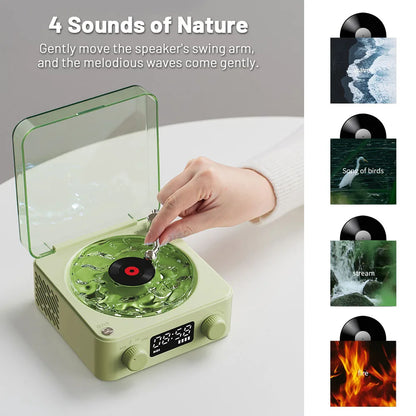 ZenVue Vinyl Speaker
