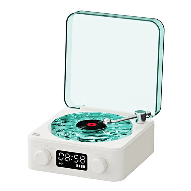 ZenVue Vinyl Speaker